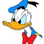 Donald Duck